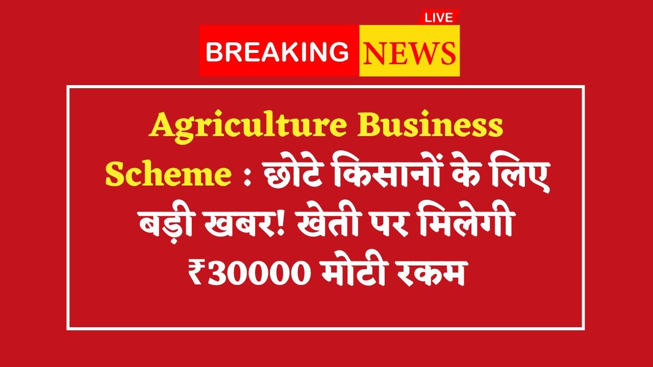 Agriculture Business Scheme